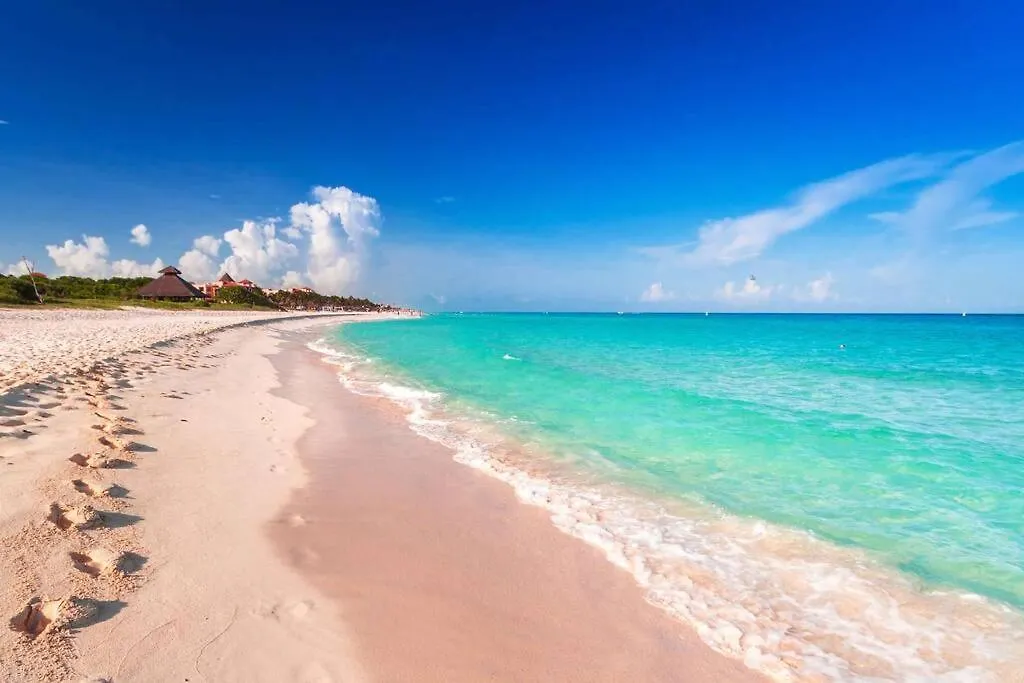 Apartment Gorgeus Condo 1 Block 5Ta - Beach 5 Min. Walking Playa del Carmen